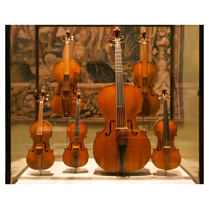 stringed instruments – PMR